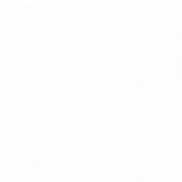 Risk Management Steps